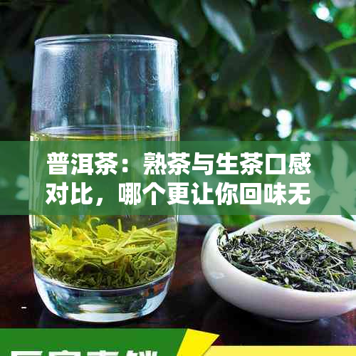 普洱茶：熟茶与生茶口感对比，哪个更让你回味无穷？