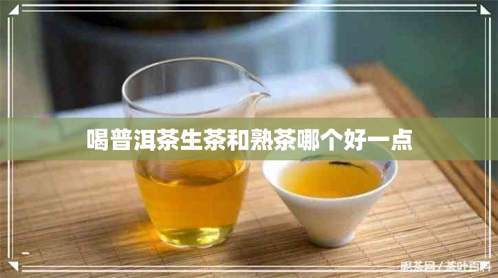 喝普洱茶生茶和熟茶哪个好一点