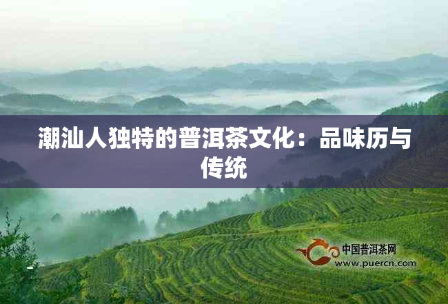 潮汕人独特的普洱茶文化：品味历与传统