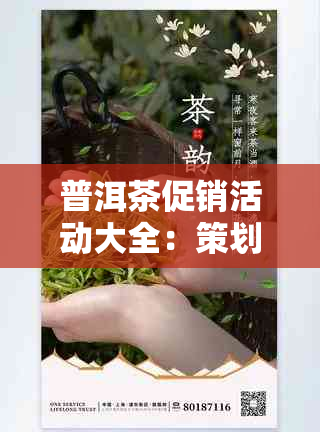 普洱茶促销活动大全：策划方案与文案，打造成功促销！