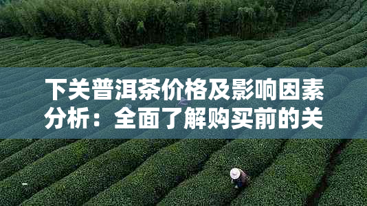 下关普洱茶价格及影响因素分析：全面了解购买前的关键要素