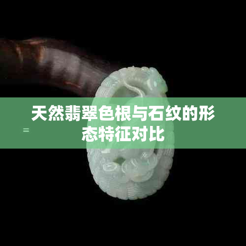 天然翡翠色根与石纹的形态特征对比