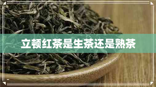 立顿红茶是生茶还是熟茶