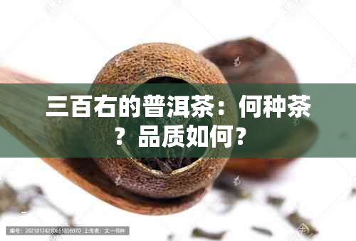 三百右的普洱茶：何种茶？品质如何？