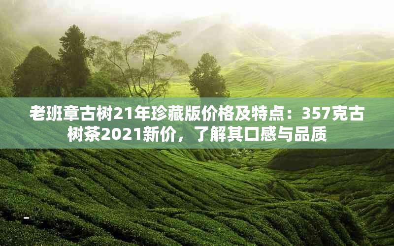 老班章古树21年珍藏版价格及特点：357克古树茶2021新价，了解其口感与品质