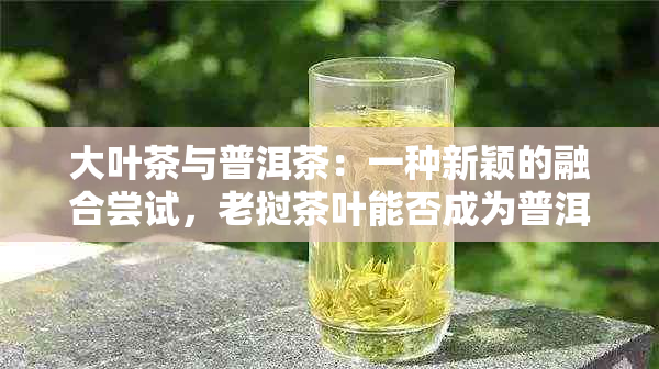 大叶茶与普洱茶：一种新颖的融合尝试，老挝茶叶能否成为普洱茶的新选择？