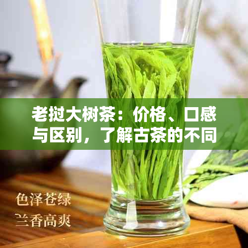 老挝大树茶：价格、口感与区别，了解古茶的不同之处