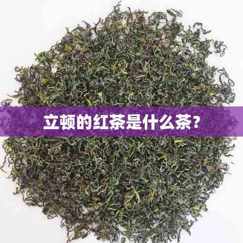 立顿的红茶是什么茶？