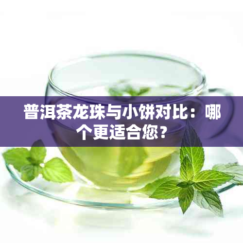 普洱茶龙珠与小饼对比：哪个更适合您？