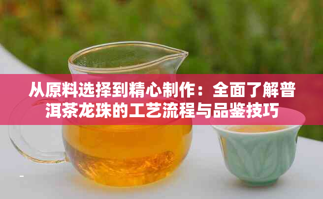 从原料选择到精心制作：全面了解普洱茶龙珠的工艺流程与品鉴技巧