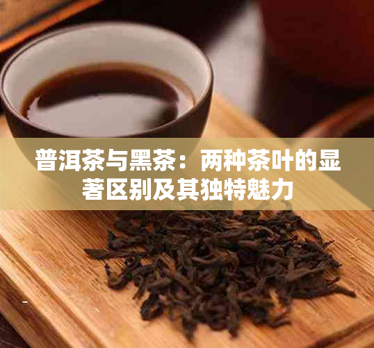 普洱茶与黑茶：两种茶叶的显著区别及其独特魅力