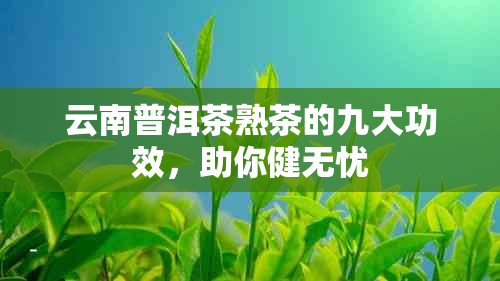 云南普洱茶熟茶的九大功效，助你健无忧