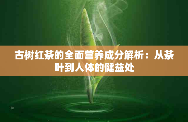 古树红茶的全面营养成分解析：从茶叶到人体的健益处