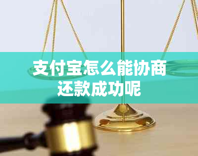 支付宝怎么能协商还款成功呢