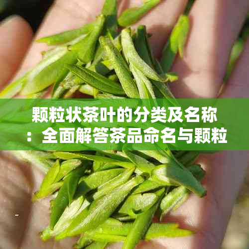 颗粒状茶叶的分类及名称：全面解答茶品命名与颗粒状茶叶特点