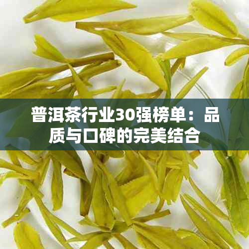 普洱茶行业30强榜单：品质与口碑的完美结合