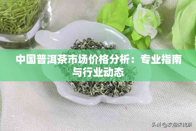 中国普洱茶市场价格分析：专业指南与行业动态