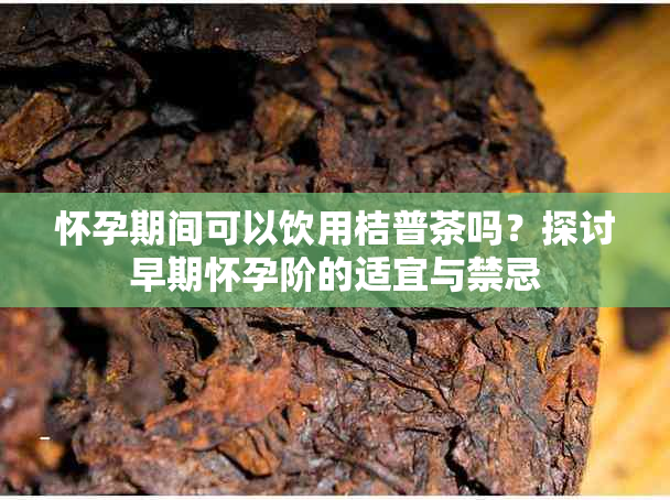 怀孕期间可以饮用桔普茶吗？探讨早期怀孕阶的适宜与禁忌