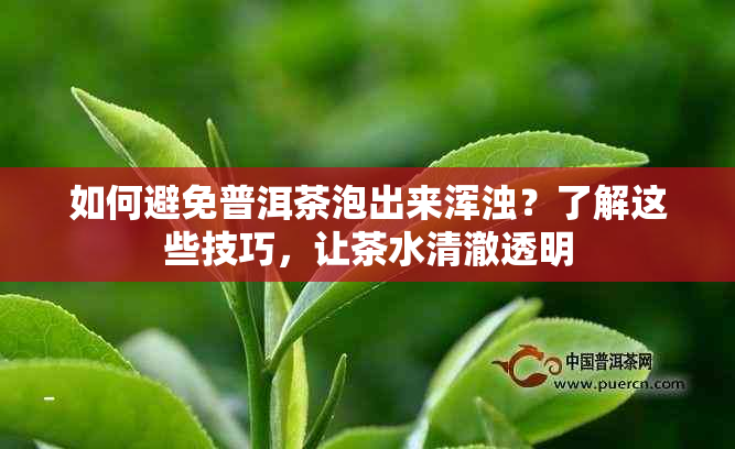 如何避免普洱茶泡出来浑浊？了解这些技巧，让茶水清澈透明