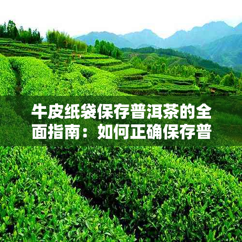 牛皮纸袋保存普洱茶的全面指南：如何正确保存普洱茶，长茶叶寿命