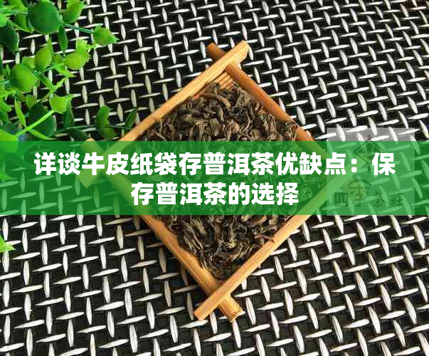 详谈牛皮纸袋存普洱茶优缺点：保存普洱茶的选择