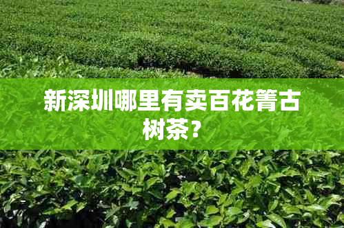 新深圳哪里有卖百花箐古树茶？