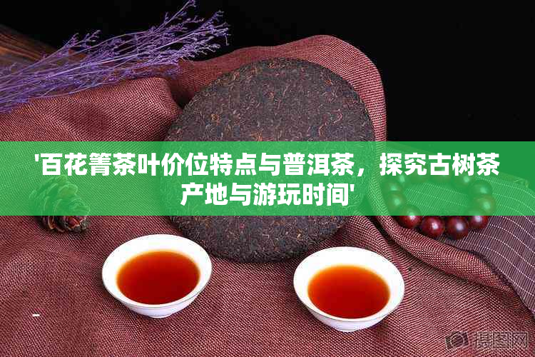 '百花箐茶叶价位特点与普洱茶，探究古树茶产地与游玩时间'