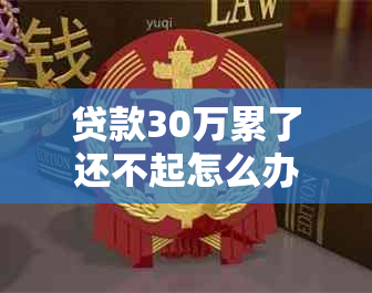 贷款30万累了还不起怎么办