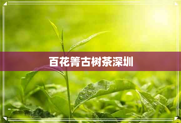 百花箐古树茶深圳