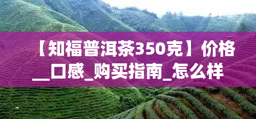 【知福普洱茶350克】价格__口感_购买指南_怎么样？