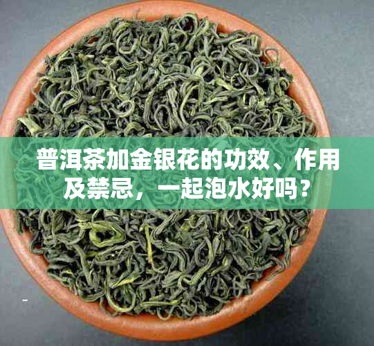 普洱茶加金银花的功效、作用及禁忌，一起泡水好吗？