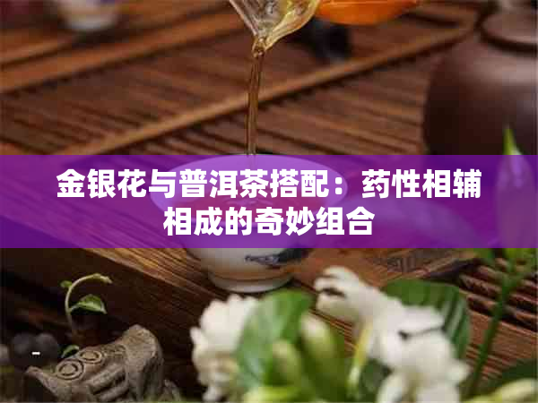 金银花与普洱茶搭配：性相辅相成的奇妙组合