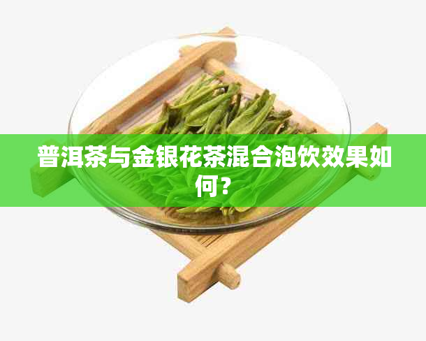 普洱茶与金银花茶混合泡饮效果如何？