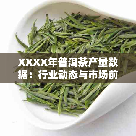 XXXX年普洱茶产量数据：行业动态与市场前景分析