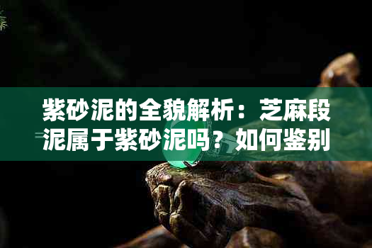 紫砂泥的全貌解析：芝麻段泥属于紫砂泥吗？如何鉴别和使用？