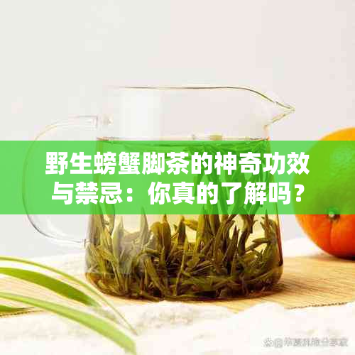 野生螃蟹脚茶的神奇功效与禁忌：你真的了解吗？