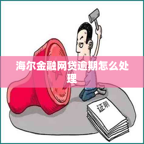 海尔金融网贷逾期怎么处理