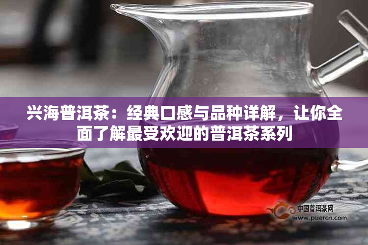 兴海普洱茶：经典口感与品种详解，让你全面了解更受欢迎的普洱茶系列