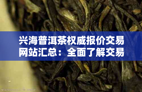 兴海普洱茶权威报价交易网站汇总：全面了解交易信息与行情