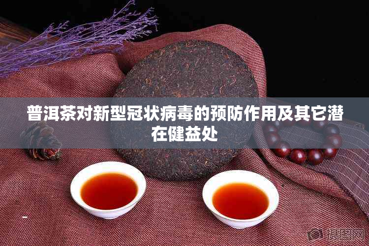 普洱茶对新型冠状病的预防作用及其它潜在健益处