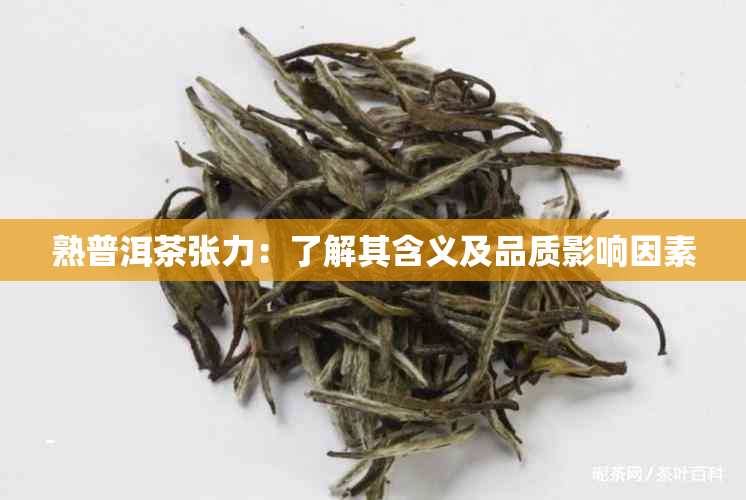 熟普洱茶张力：了解其含义及品质影响因素