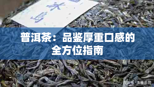 普洱茶：品鉴厚重口感的全方位指南