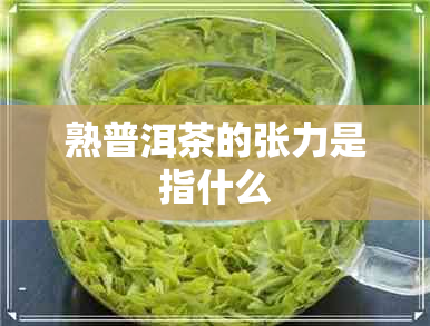 熟普洱茶的张力是指什么