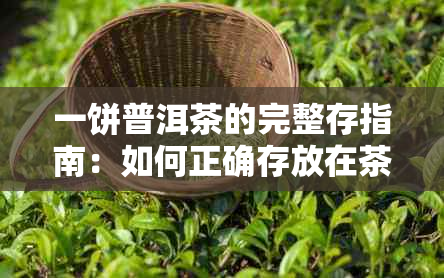 一饼普洱茶的完整存指南：如何正确存放在茶罐中以保持其品质和风味