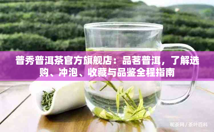 普秀普洱茶官方旗舰店：品茗普洱，了解选购、冲泡、收藏与品鉴全程指南