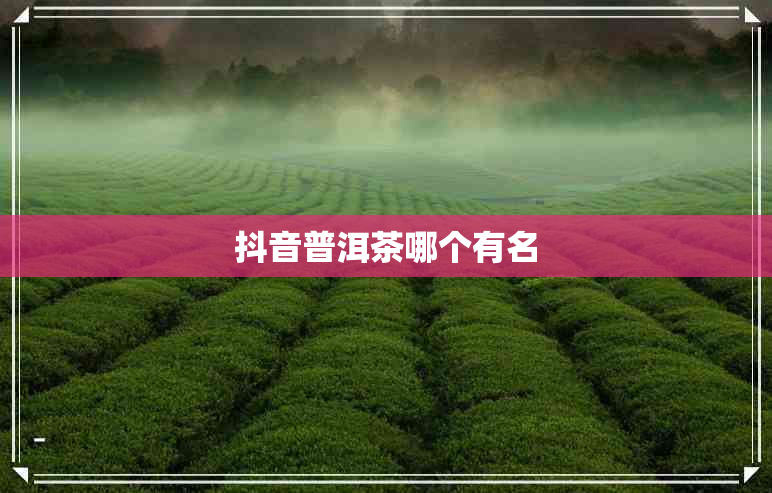 抖音普洱茶哪个有名