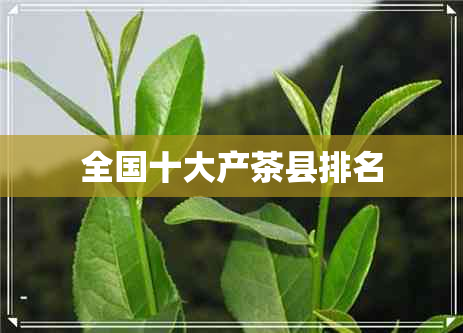 全国十大产茶县排名