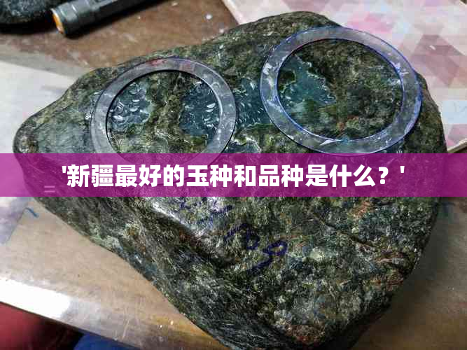 '新疆更好的玉种和品种是什么？'