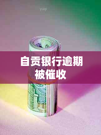 自贡银行逾期被