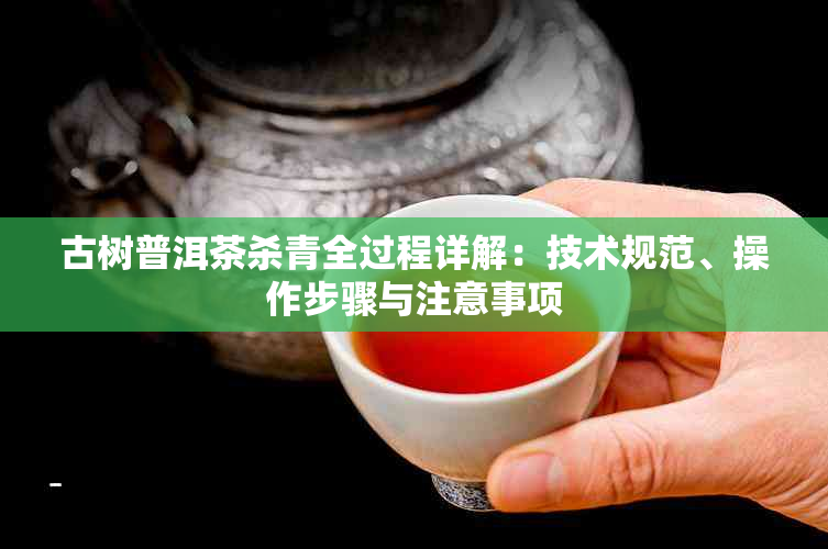 古树普洱茶杀青全过程详解：技术规范、操作步骤与注意事项